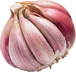 garlic