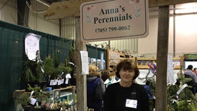 Annas-Perennials