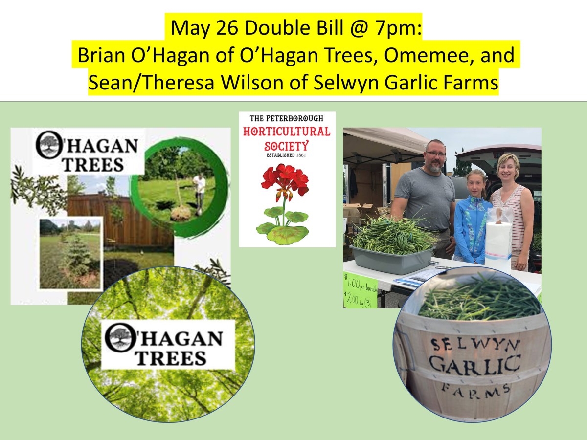 May 26 DoubleBill Brian O’Hagan from O’Hagan Trees and Sean/Theresa